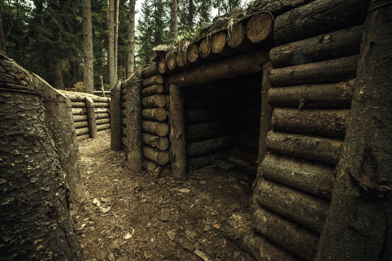 Military, wooden dugout of trees in the forest. Finnish World War II defense line on the Karelian Isthmus
